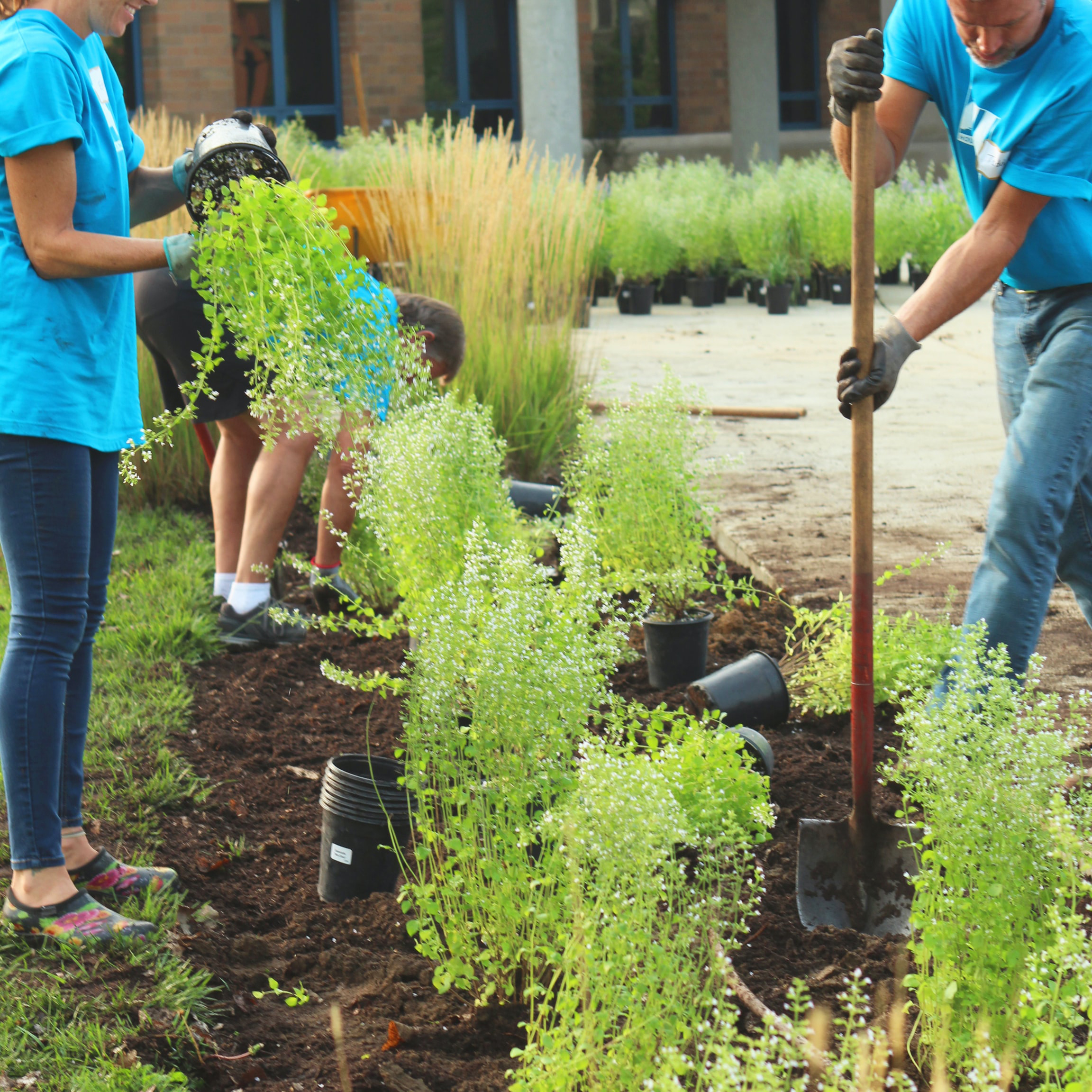 Featured image for “Building a Better Future Together – Giving Back and Team Building at the Same Time”